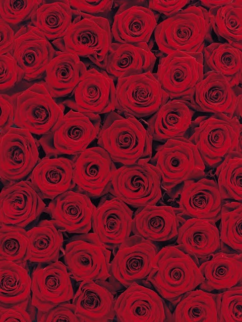 Luvyourzxx cover image