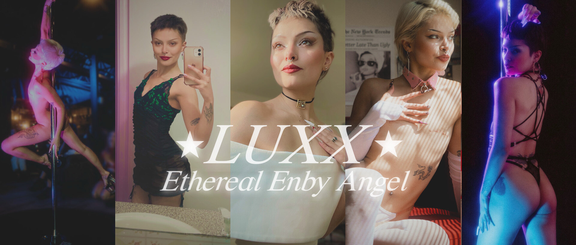 Luxx banner image