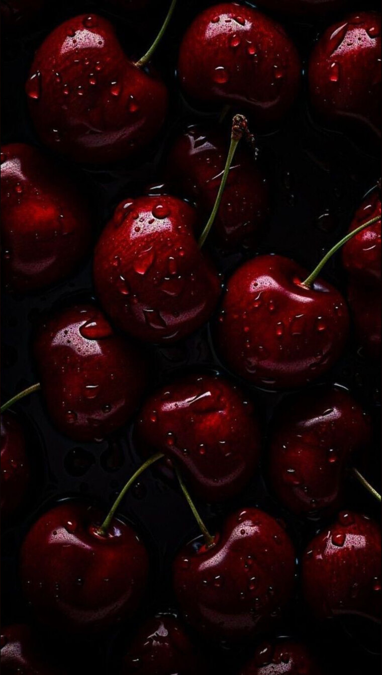 LY cover image