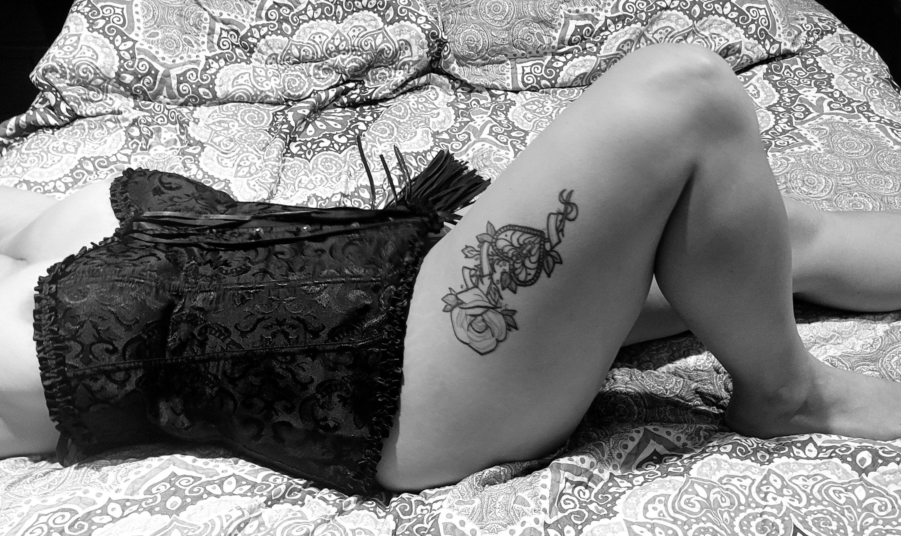 Lyla moon VIP banner image