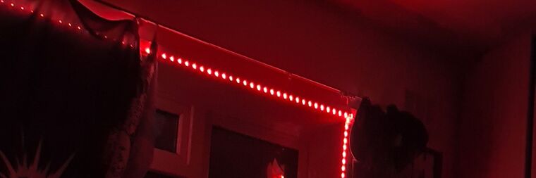 🔞Lyle Jones🔞 •AD• banner image