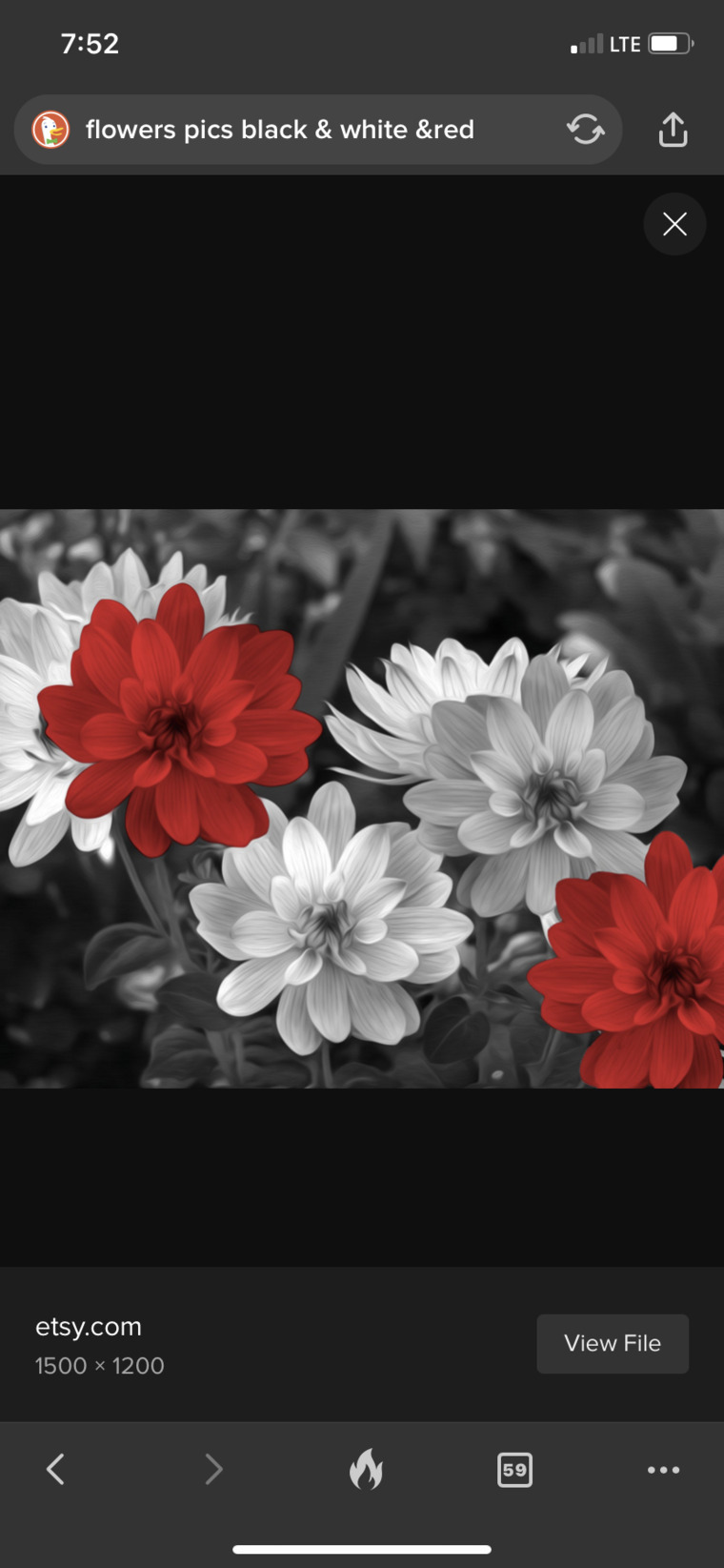 Lynn_marie banner image