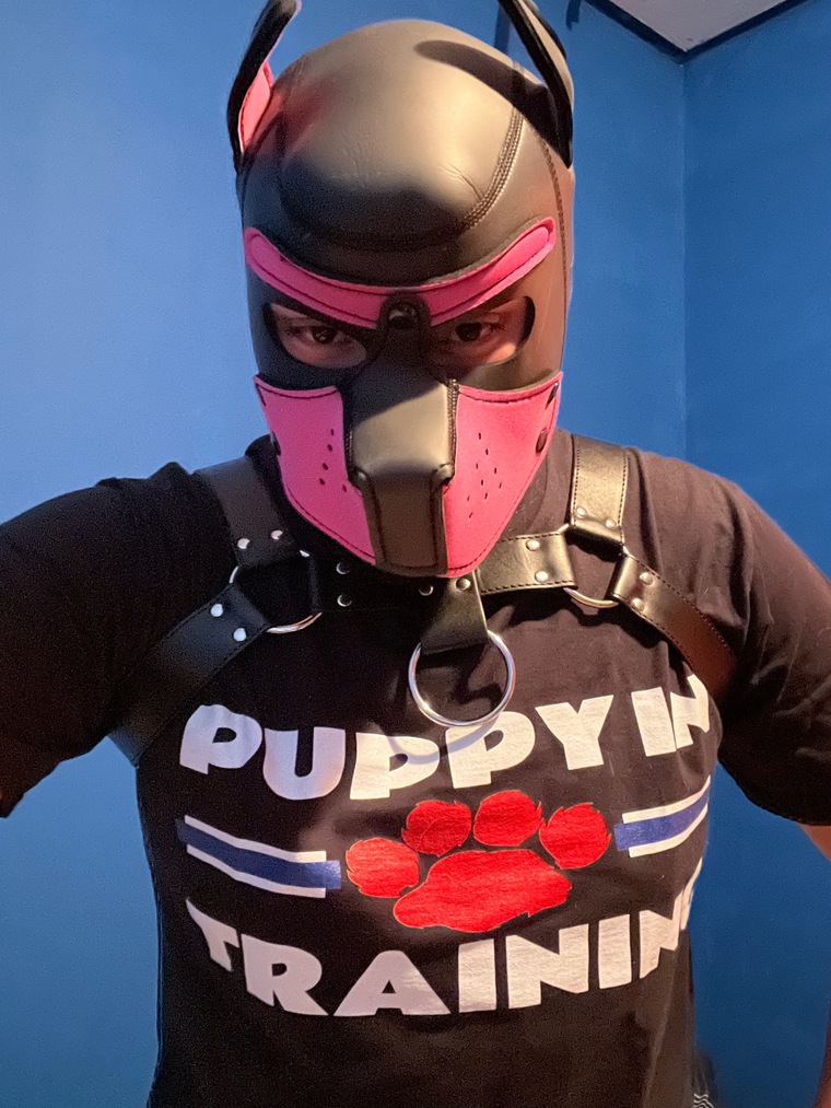 Pupers27 cover image
