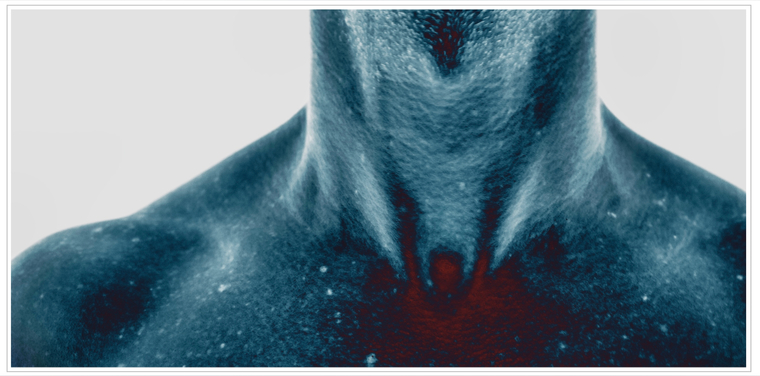 L'ynx_xx banner image
