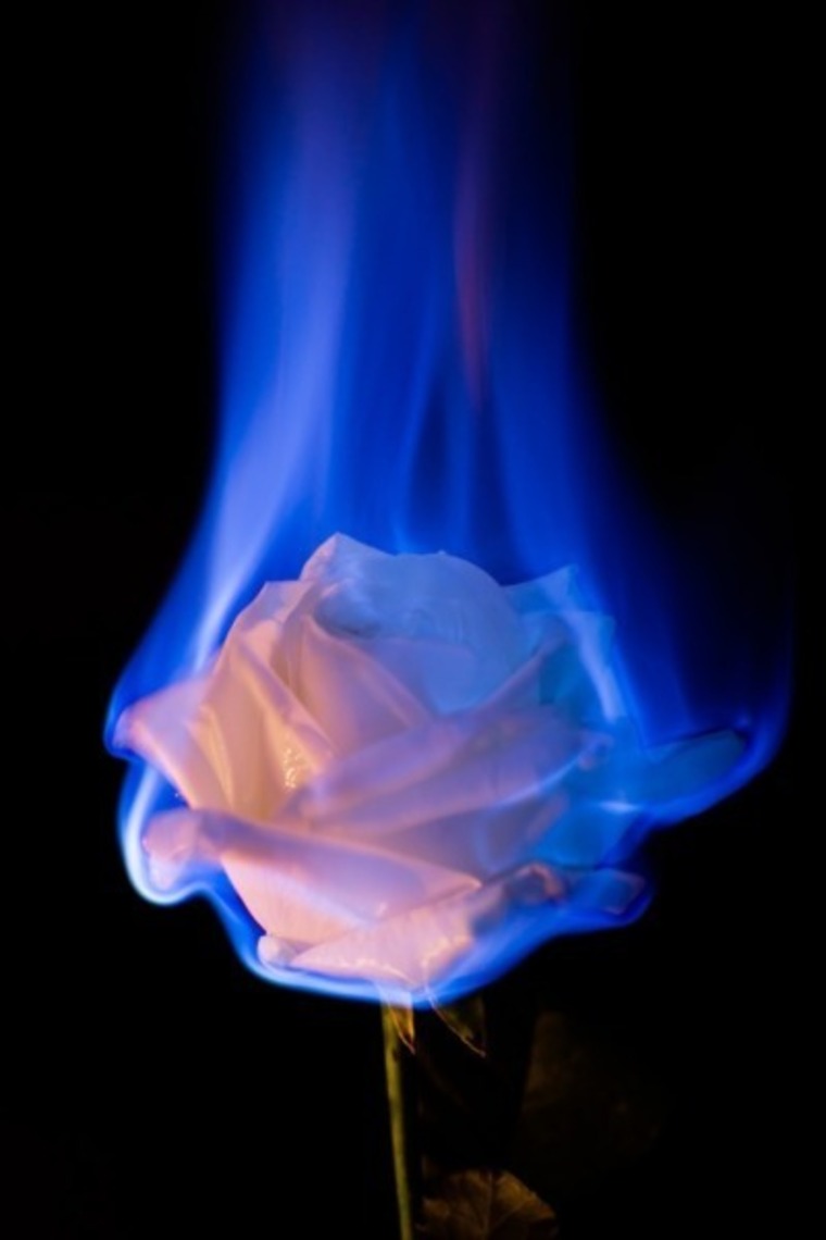 Lyra banner image