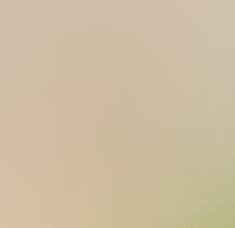 Lily banner image