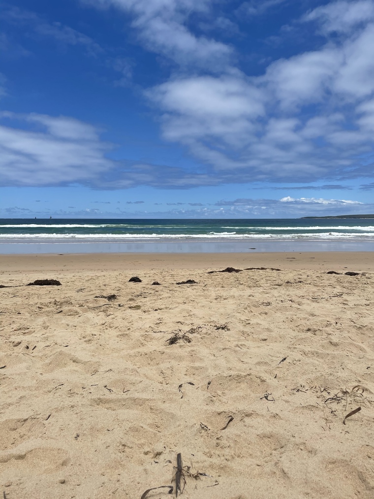 Lzc24567 cover image