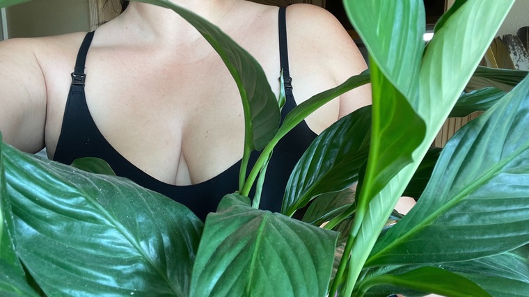 Isabxtch cover image