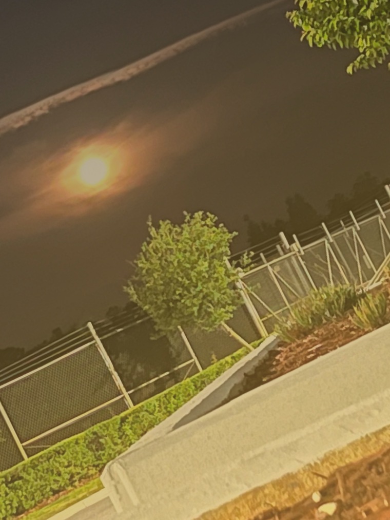 M3mphis_R0s3 cover image