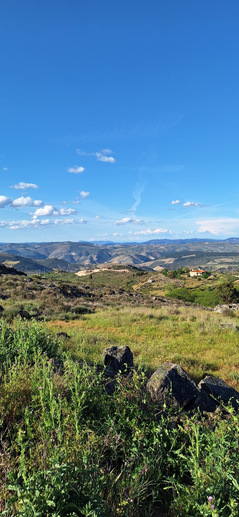 Macarena Del Río banner image