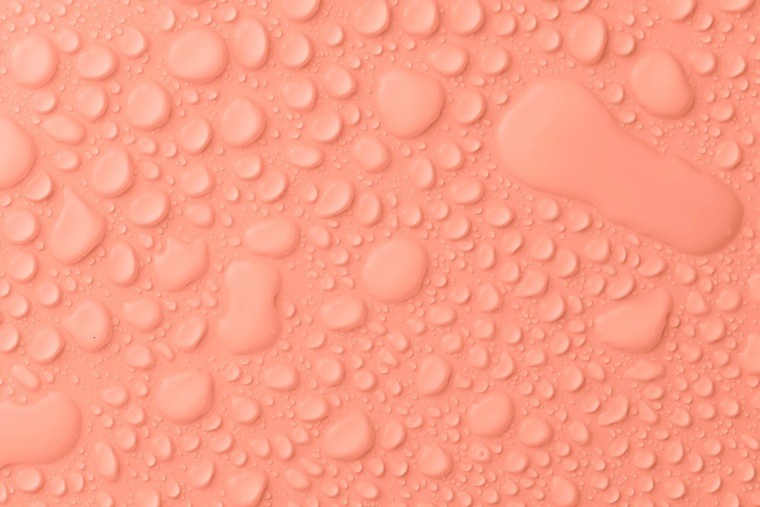 El B cover image