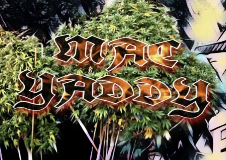 Mac Yaddy cover image