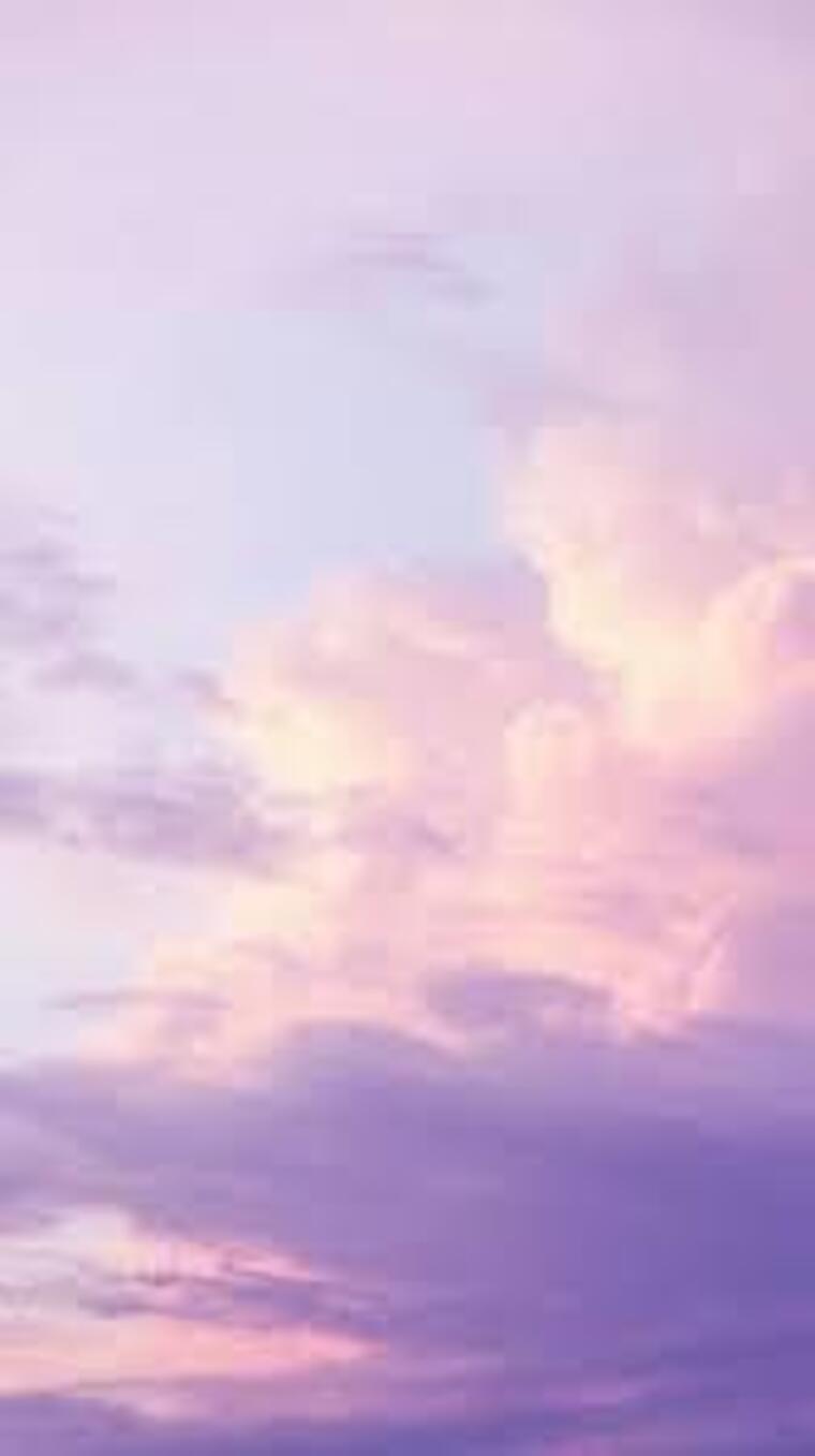 Madame Lavande banner image