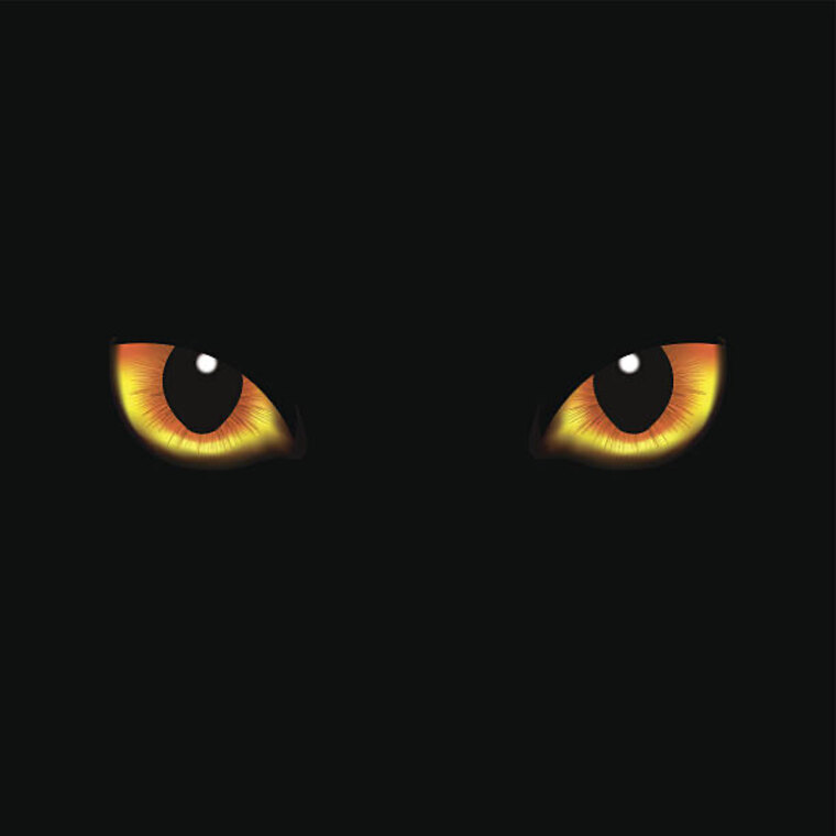 AaliyahMoonlite π³οΈββ§οΈ banner image