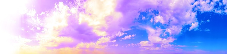 Savvy banner image