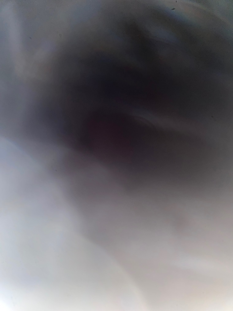maddie cover image