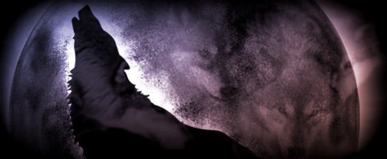 Ember Eldrid Abbadear cover image