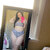 Maddy avatar