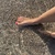 Maddy Bees Feet avatar