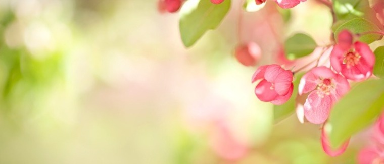 maddyfem💖 banner image