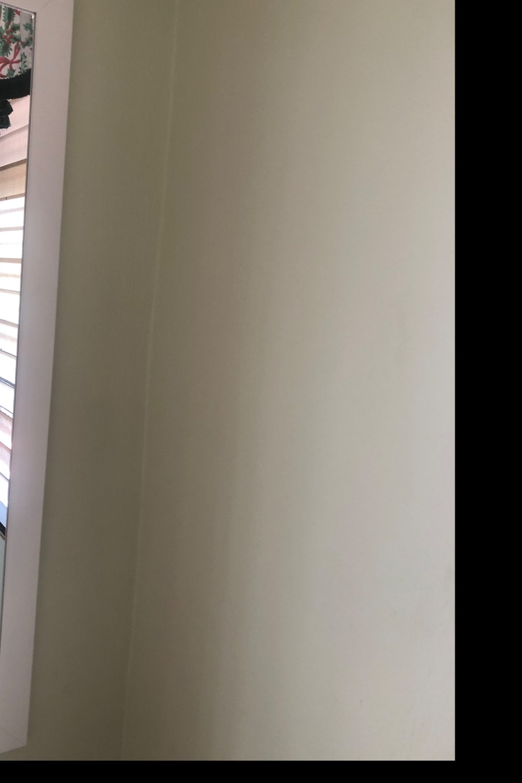 madely banner image