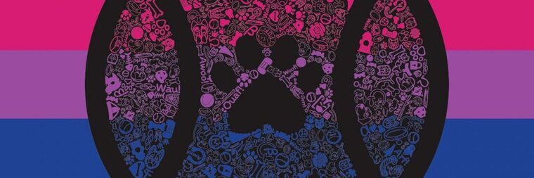 Nova cover image