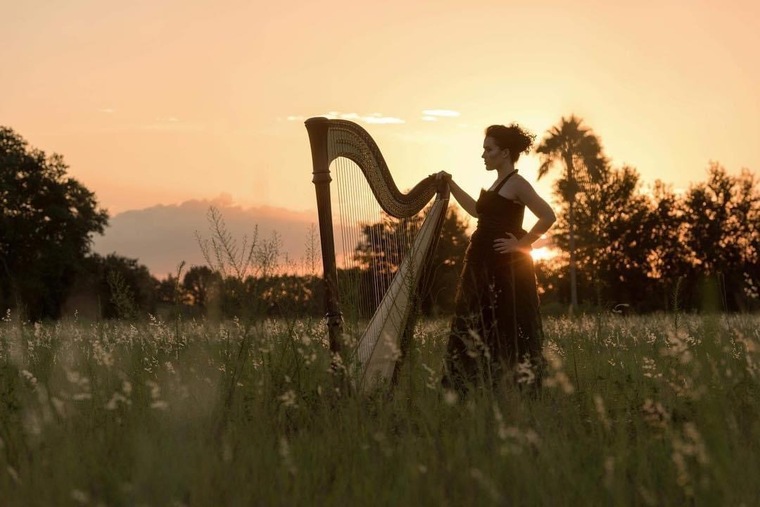 Mad Harpist cover image
