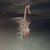 Madie Marss avatar