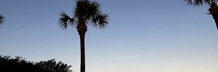 Madie Marss banner image