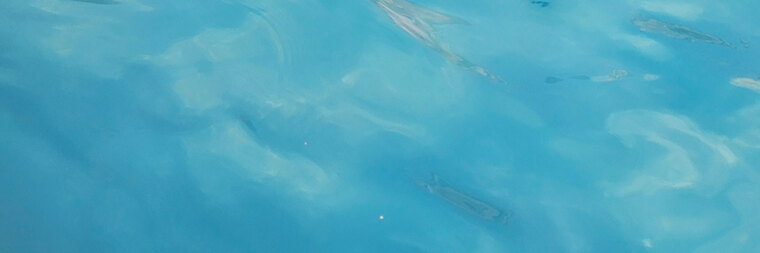 Madi cover image