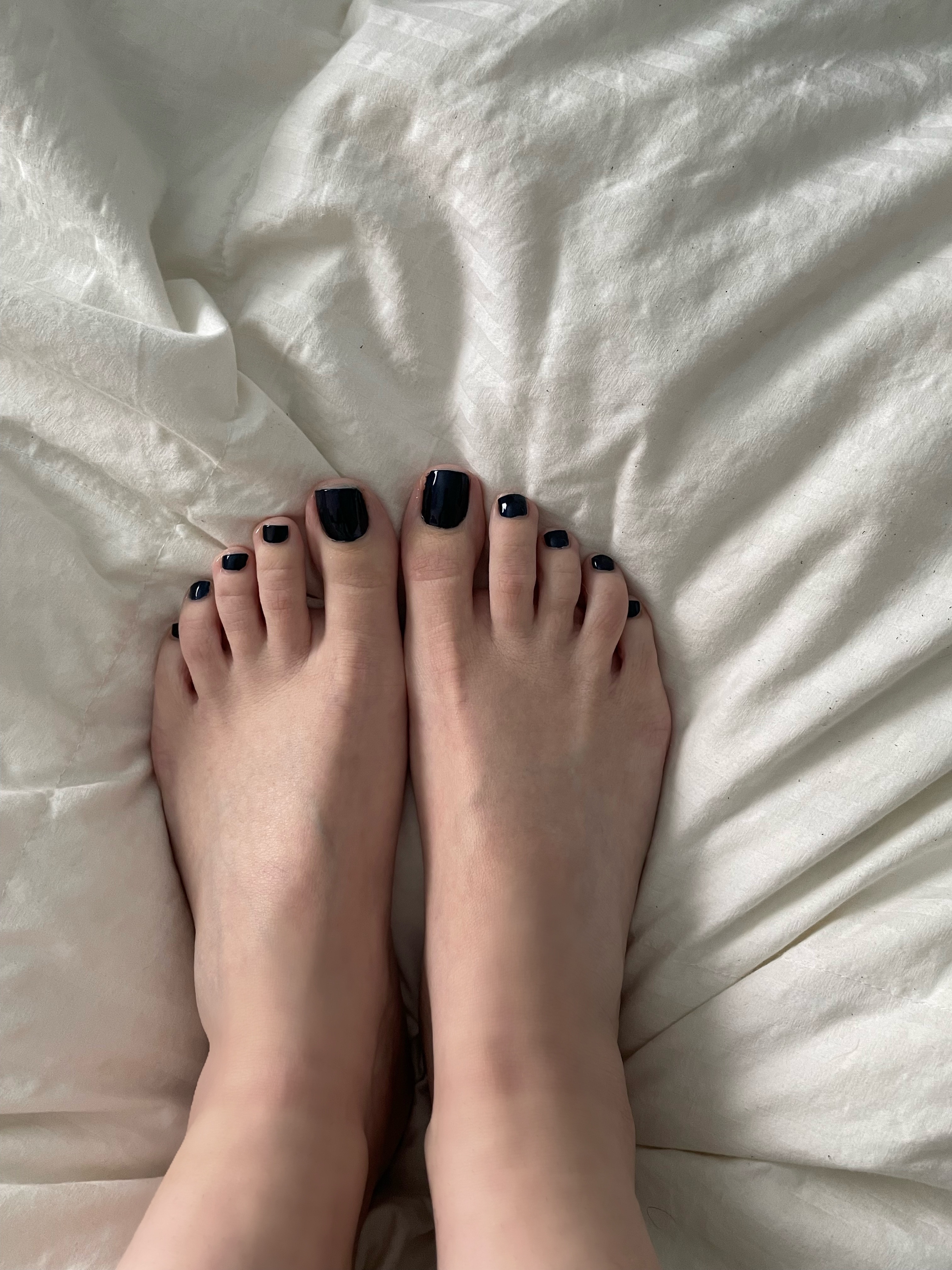 Madison Rose ๐น banner image