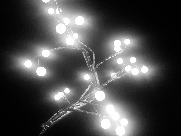 Elizabeth Nackskott banner image