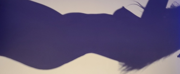 Moxy cover image