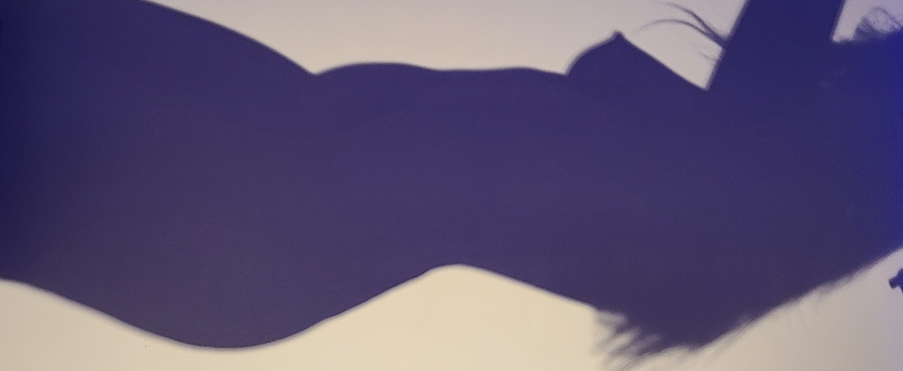 Moxy banner image