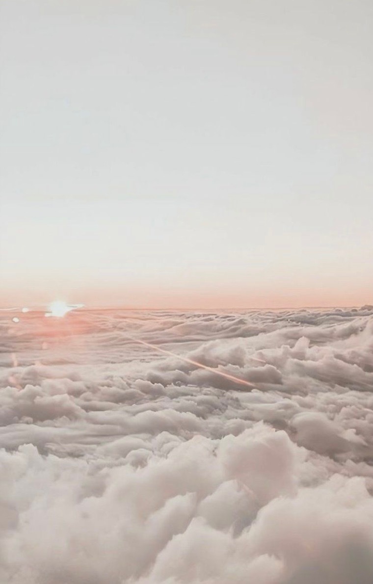 Madison Hampton cover image