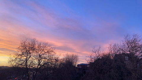 Goddess Mae cover image