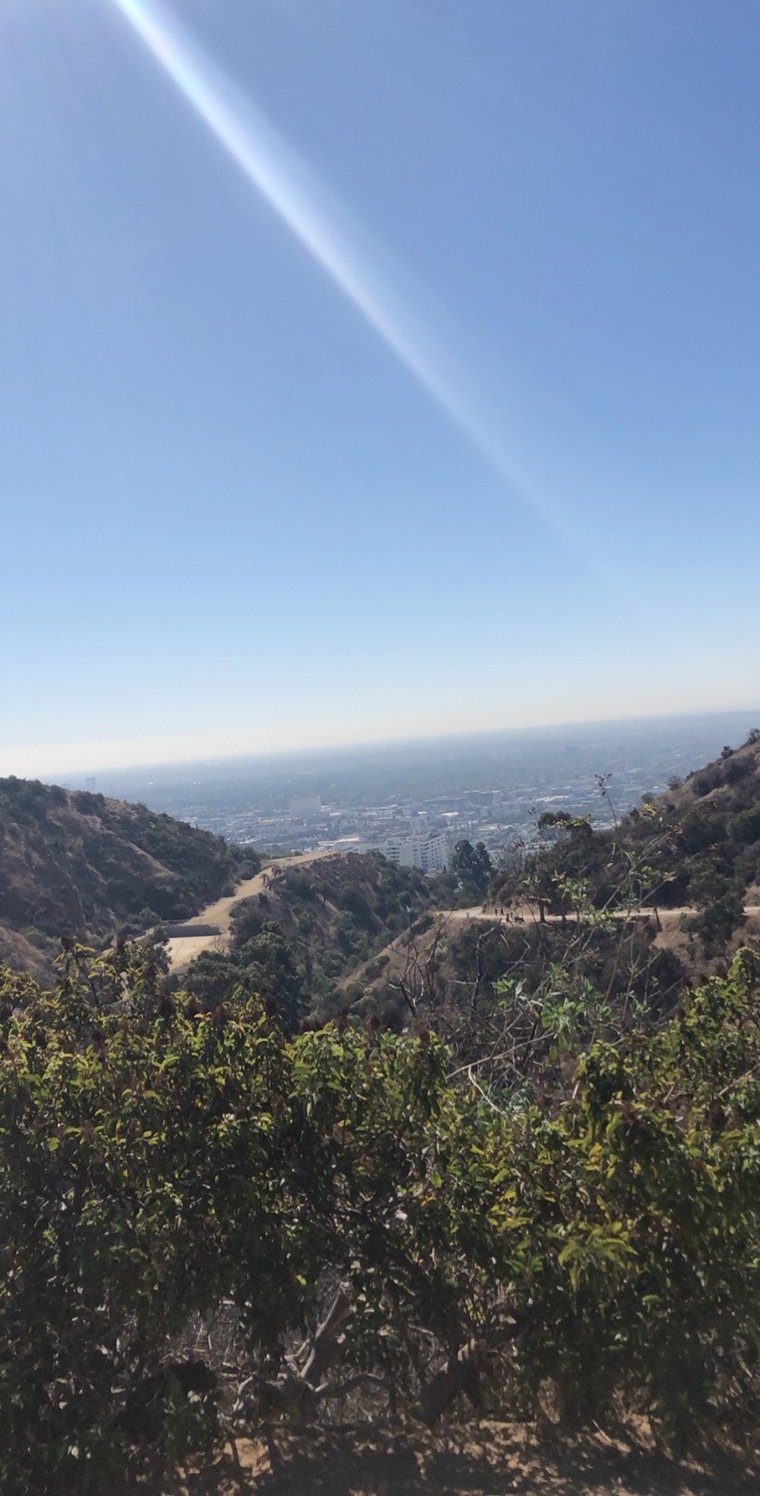 SF cover image