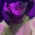 Magenta Prince avatar