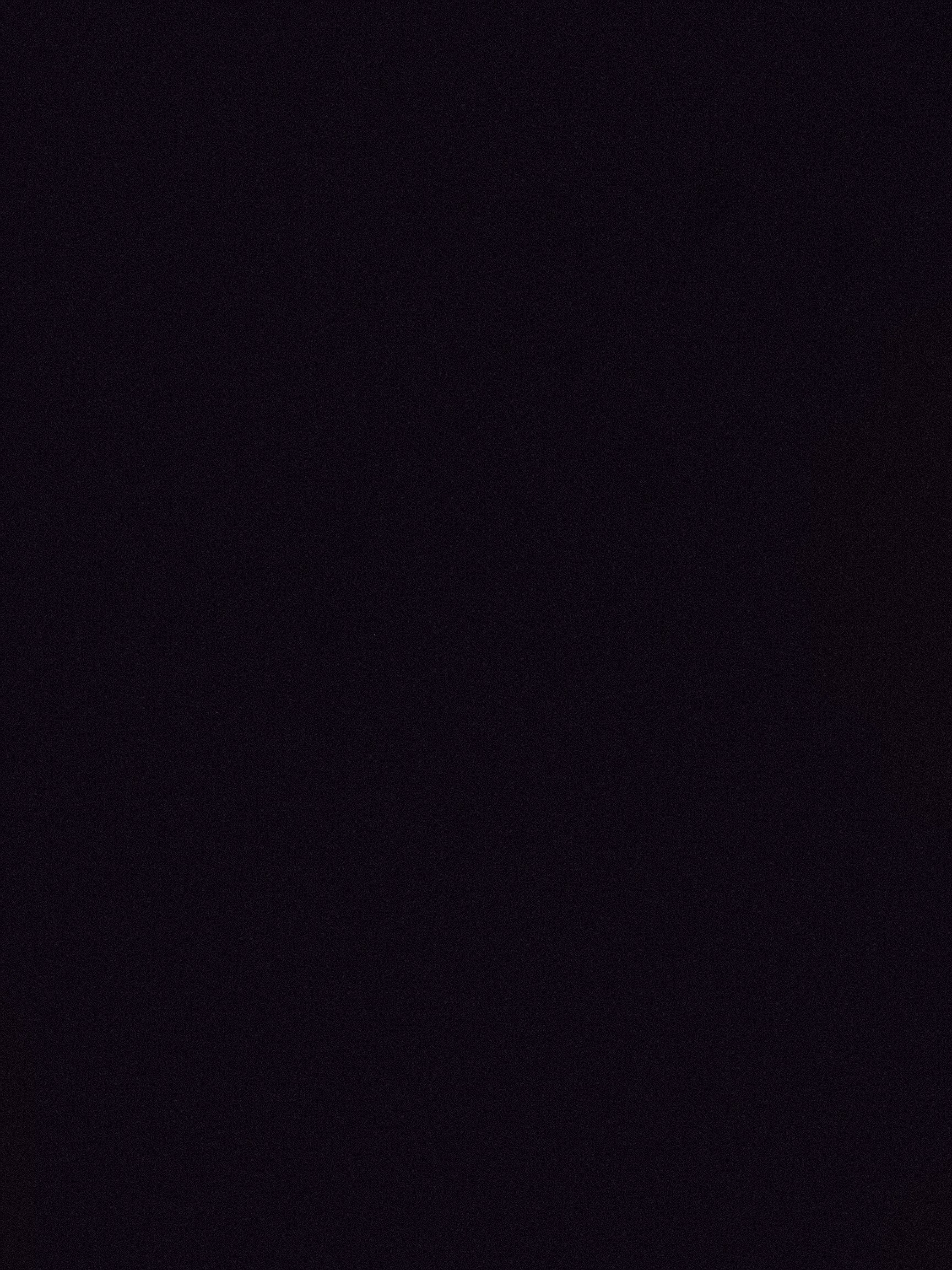Maggie Vzz banner image
