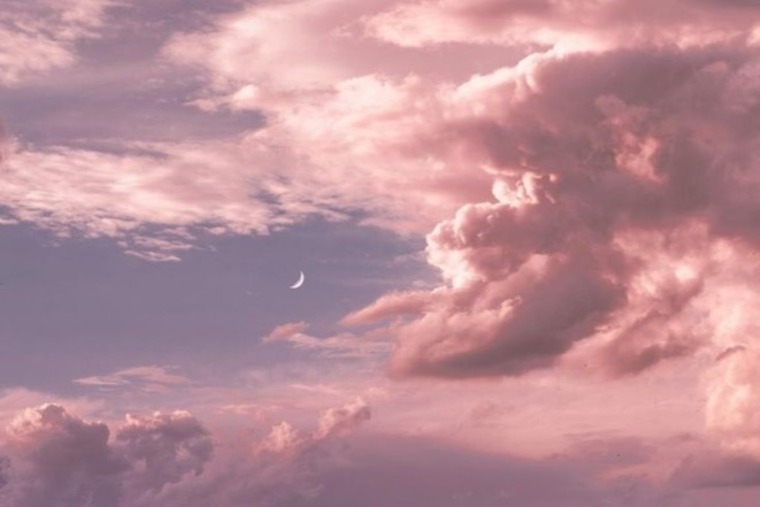 kitty banner image