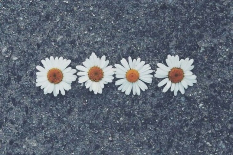 Magic_Woman1504 banner image