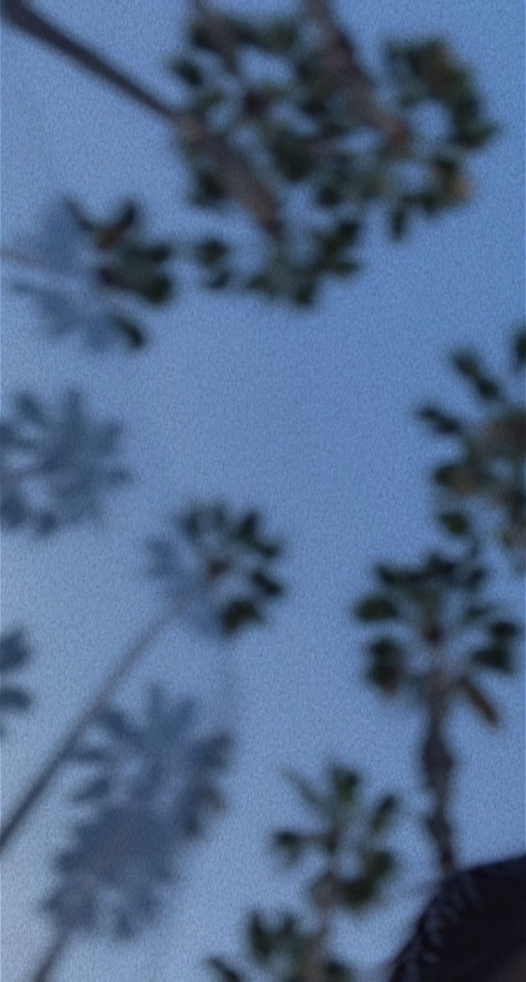 MJ🦋 cover image