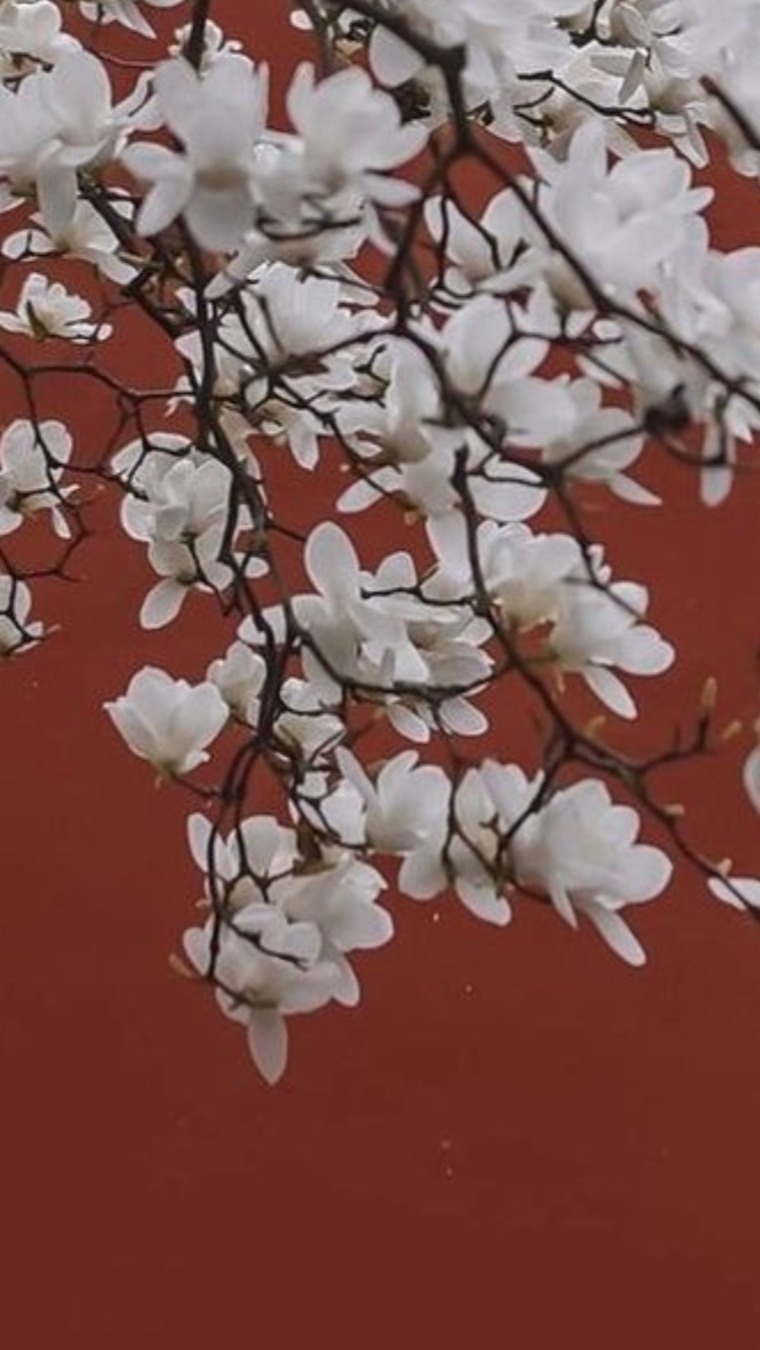 Mahina Kin banner image