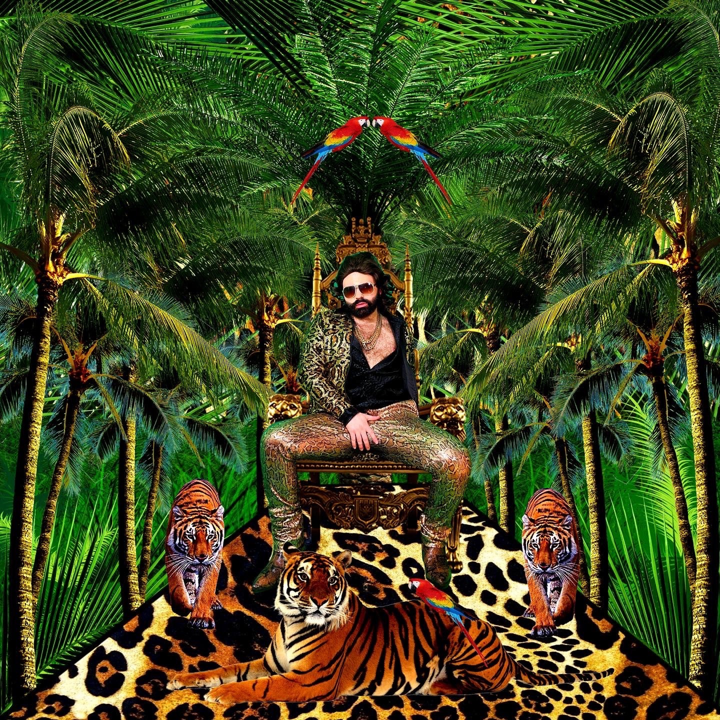 MahomiZahomo banner image