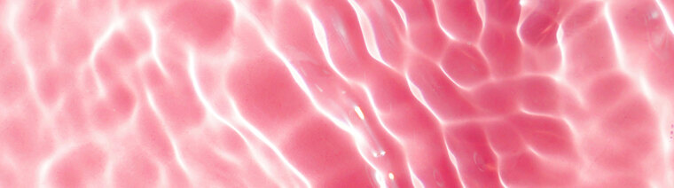 Maia ๐ banner image