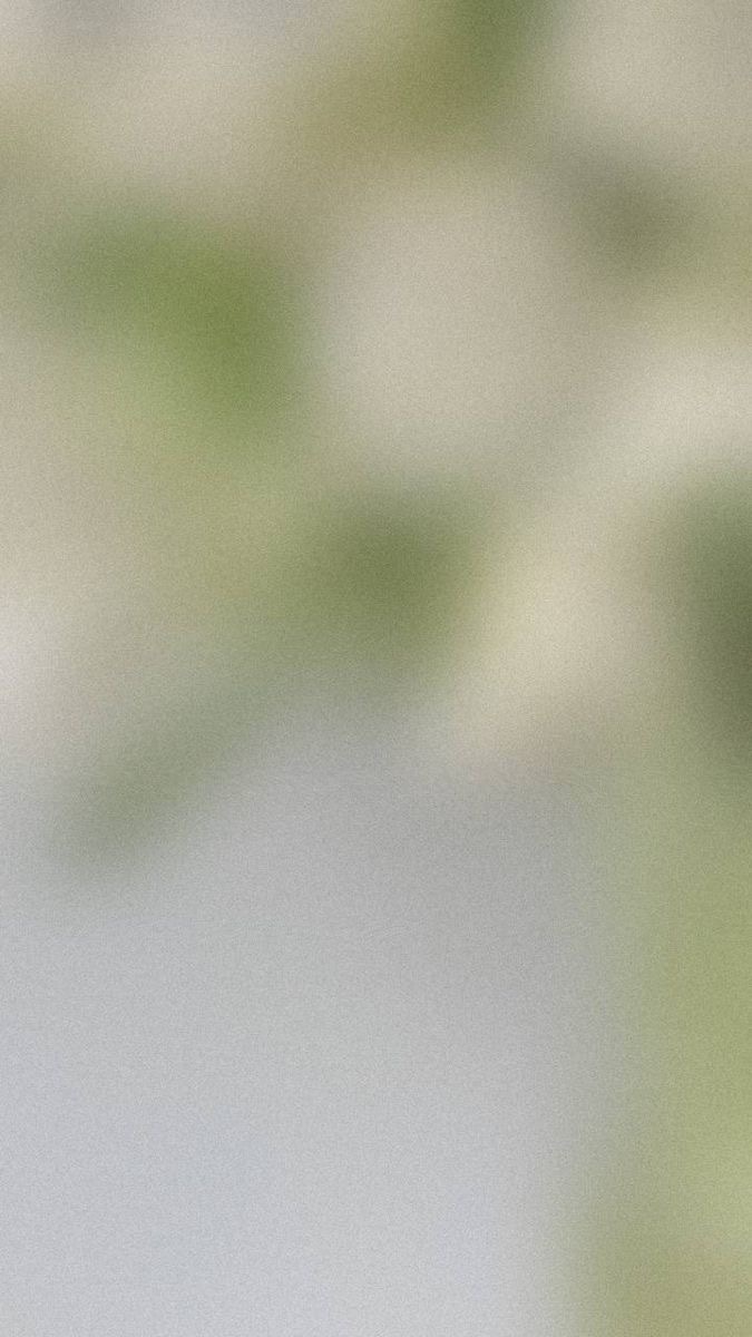 Maiko banner image