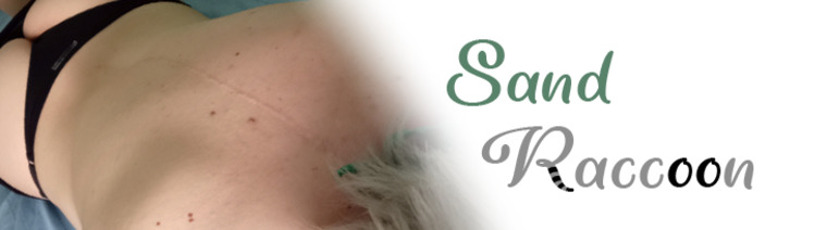Maine Kitten banner image