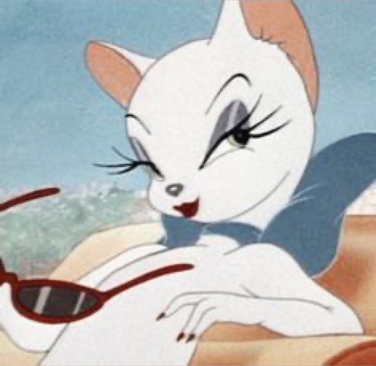 Kitty City😽 cover image
