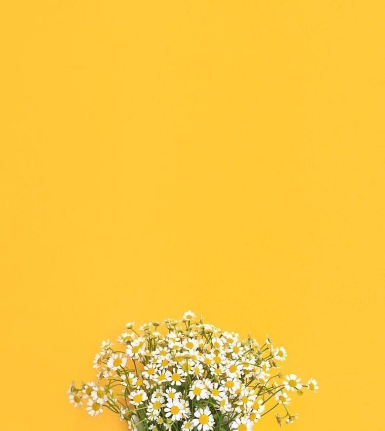 Malorie cover image