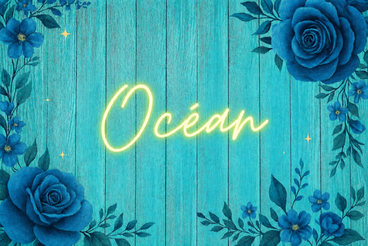 Ocean๐ cover image